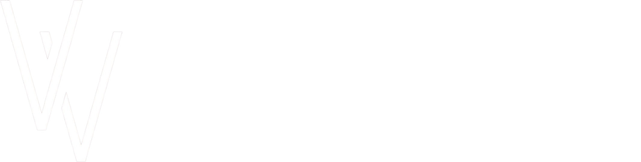 Visual Vision Middle East FZ-LLC